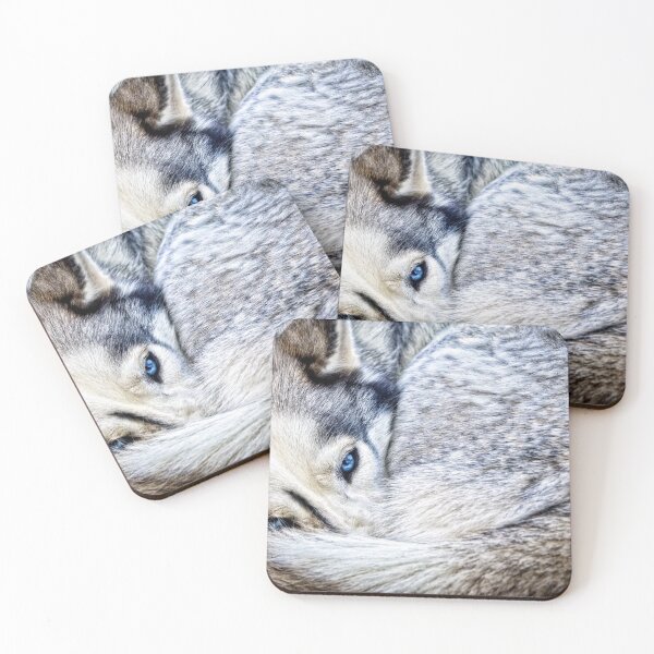 Item preview, Husky designed and sold by TomCPhoto.