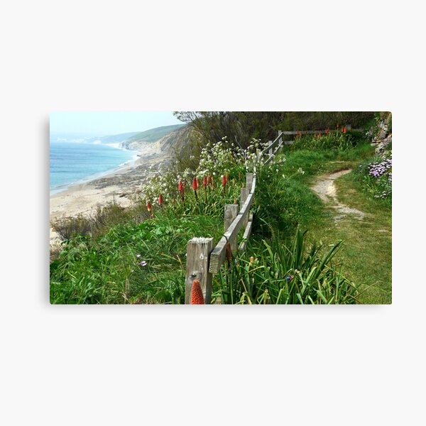 Item preview, coast path designed and sold by kathleenjean.