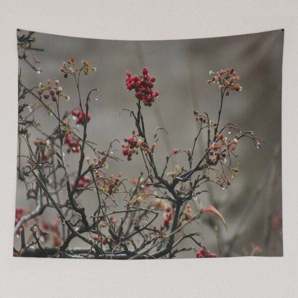 Item preview, That Winter Feeling designed and sold by Vicki Spindler (VHS Photography).