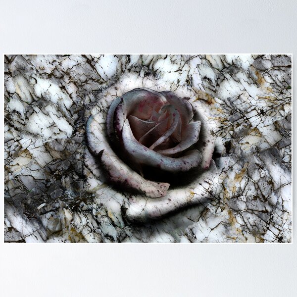Item preview, Rock and Rose designed and sold by Evgeniy Lankin.