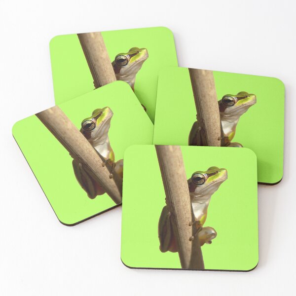Item preview, Slender Tree Frog Frog Frogs designed and sold by Jason Gilbert.