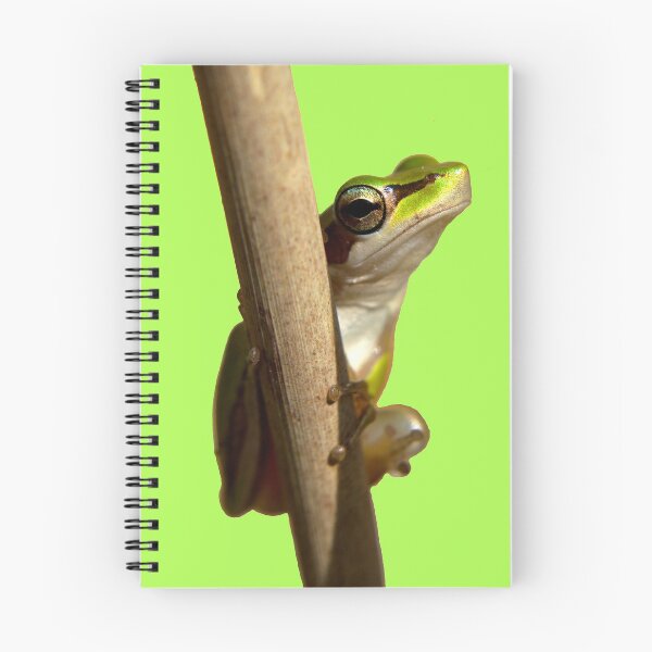Item preview, Slender Tree Frog Frog Frogs designed and sold by Jason Gilbert.