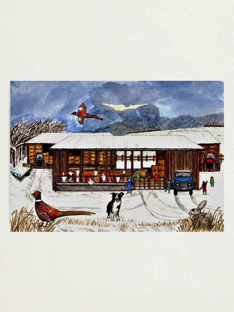 Alternate view of Winter Life - Wall Art Photographic Print