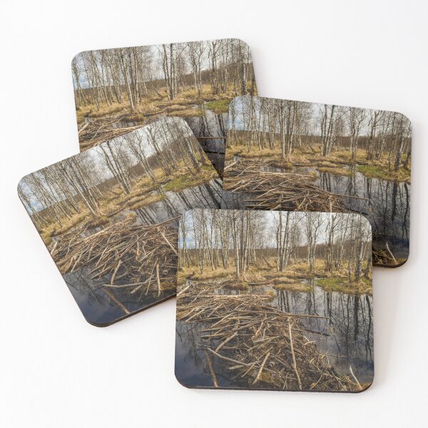 Item preview, Spring sky reflected in backwaters beaver dams designed and sold by yarvin13.