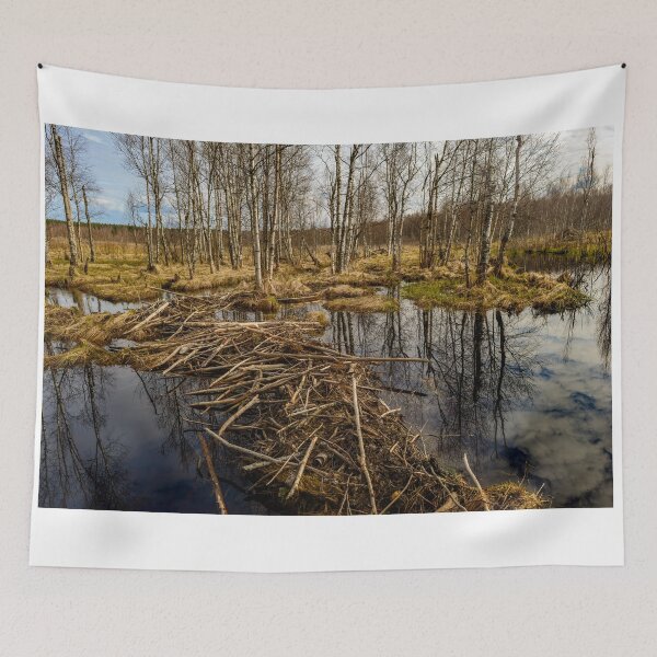 Item preview, Spring sky reflected in backwaters beaver dams designed and sold by yarvin13.