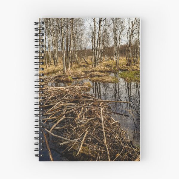 Item preview, Spring sky reflected in backwaters beaver dams designed and sold by yarvin13.