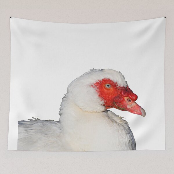 Item preview, Muscovy Duck Cutout designed and sold by Jason Gilbert.