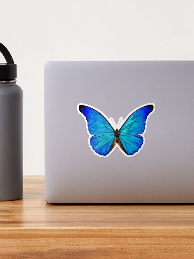 Blue Morpho Butterfly Vinyl Sticker - 3 Inch Waterproof Decal For Cars, Laptops & Phones