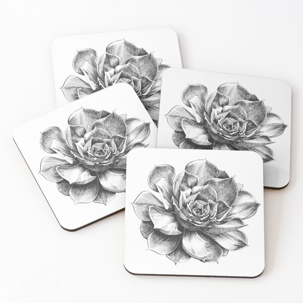 Item preview, Aeonium succulent plant designed and sold by Gareth Massam.