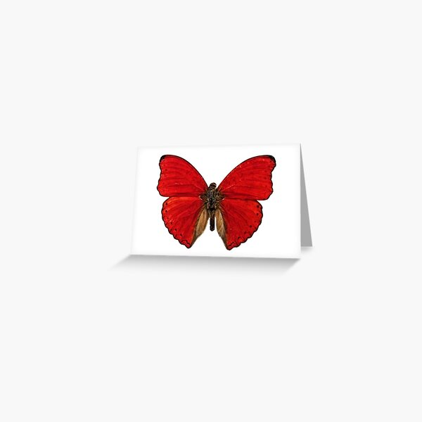 Item preview, Red Butterfly designed and sold by catpawe.