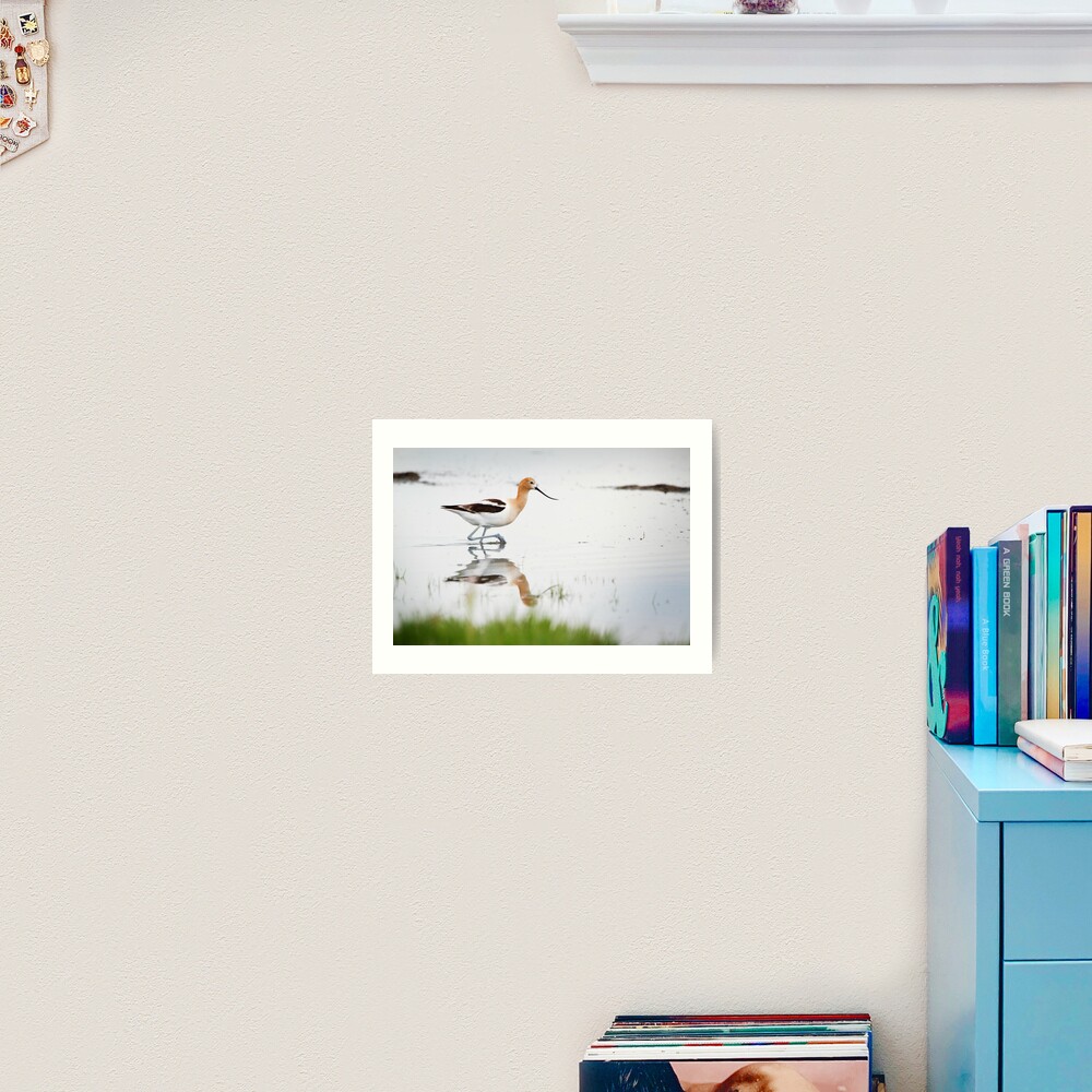 That Lovely Stride (Avocet in Central Wyoming) Art Print
