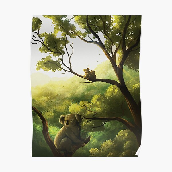 Ayuda a los koalas Póster