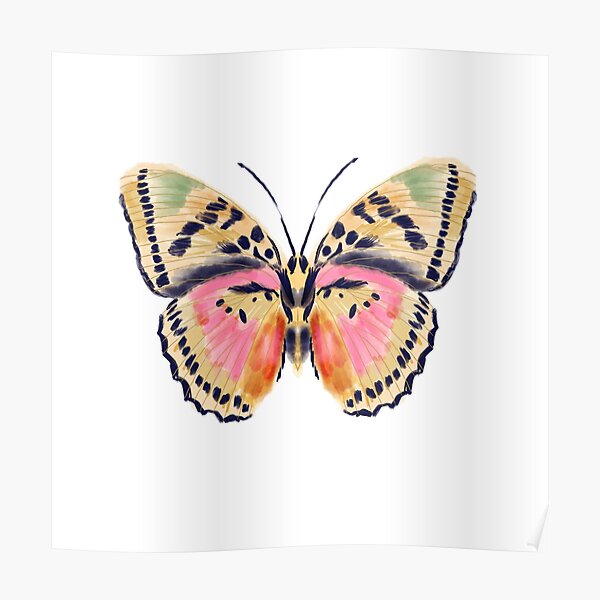 Painted butterfly, butterfly sticker, butterflies, watercolor butterfly, yellow and pink butterflies, insect art, butterfly art, andrea lauren Poster