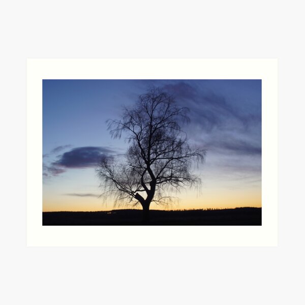 Winter Sunset Art Print