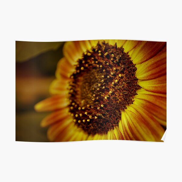 Rusty Sun Poster