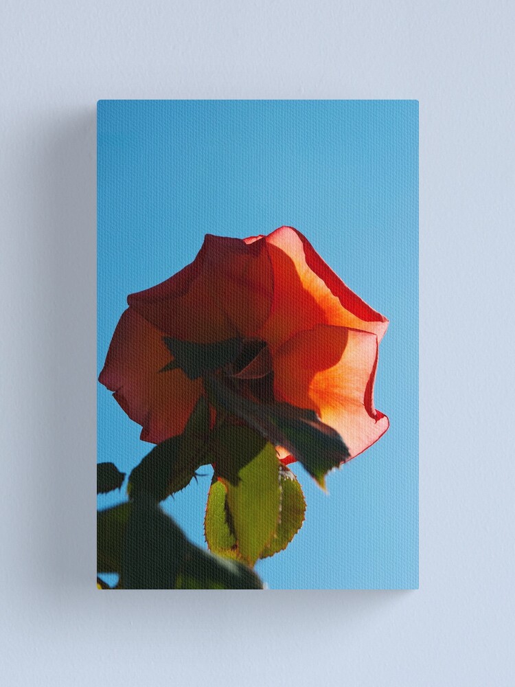 Alternate view of Shine on me... Canvas Print