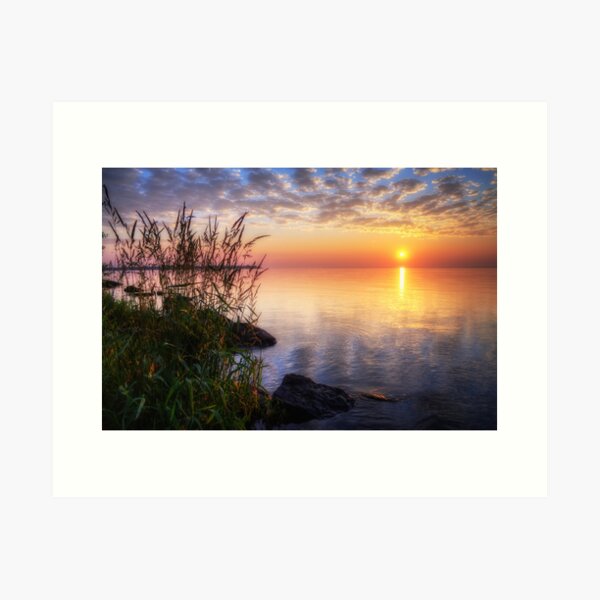 New Jersey Violet Sunrise, Art Print #060