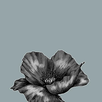Artwork thumbnail, Poppy by Ropear
