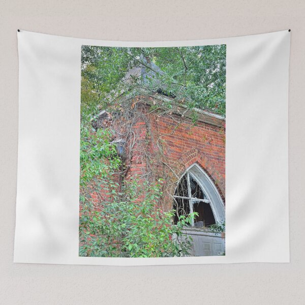 Item preview, Tabernacle Baptist Church Ruins Blackville Sc 2 designed and sold by LisaWootenPhoto.