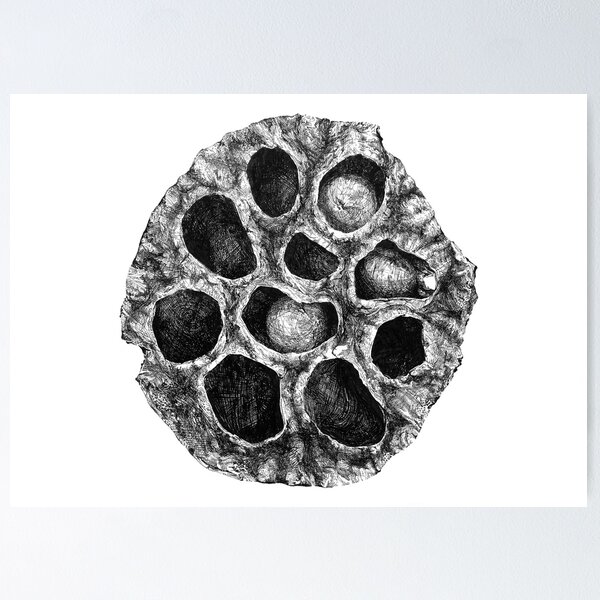 Item preview, Lotus Seed Pod designed and sold by marisvanvlack.