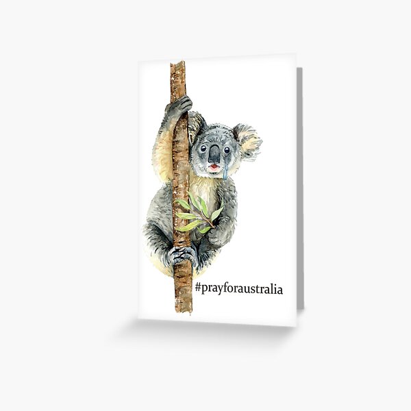Pray for Australia Koala Greeting Card