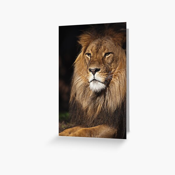 Mujambi Greeting Card