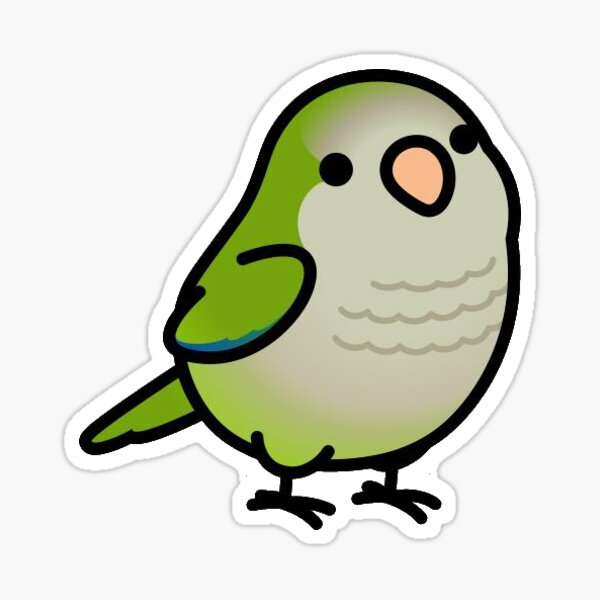 Item preview, Chubby Green Quaker parrot design  designed and sold by catecoetzee.