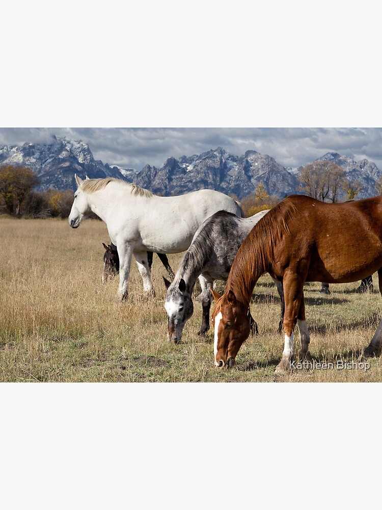 "Beautiful Horses Grazing In Jackson Hole" Poster for Sale by Waganupa