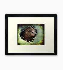 My Little Buddy Framed Print