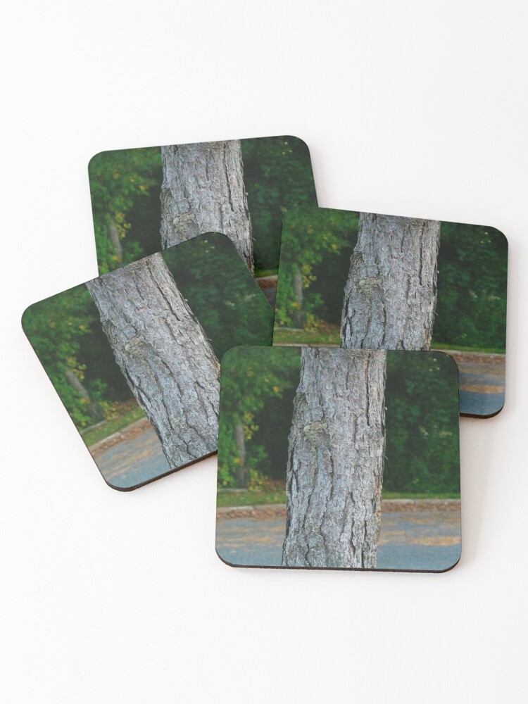 Tree Trunk Coasters Set Of 4 By Focusedbilly Redbubble