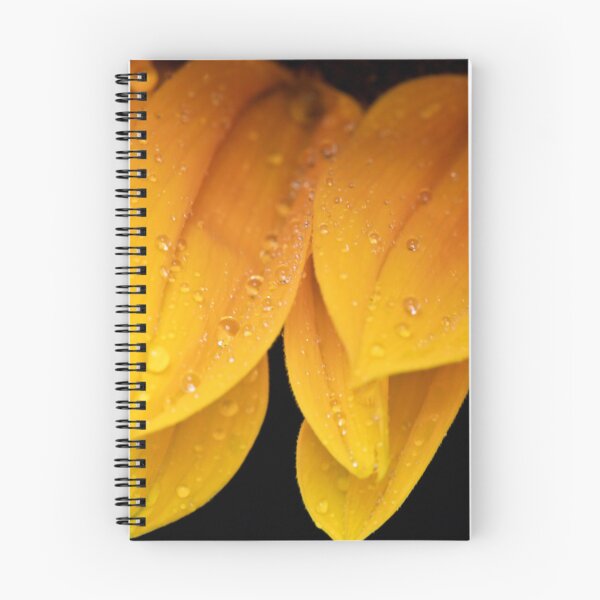 Item preview, Sunflower Petals designed and sold by TracyJemma.