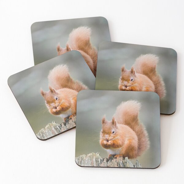 Item preview, Red Squirrel, Sciurus vulgaris designed and sold by Chris McIlreavy.