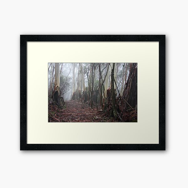 Item preview, Blue Mountains Ash in Mist designed and sold by Geoff Smith.