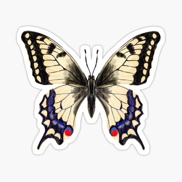 Swallowtail Butterfly - painted butterfly art, swallowtail butterfly sticker, butterfly sticker, butterflies, art, greeting card, andrea lauren Sticker