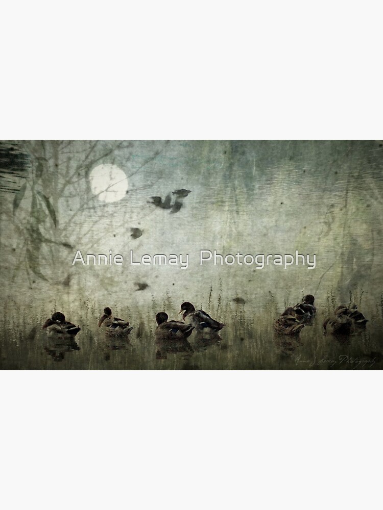 Serenity by ajlphotography