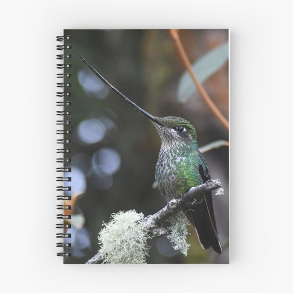 Item preview, sword hummingbird on its branch designed and sold by JIM-AND-ME.