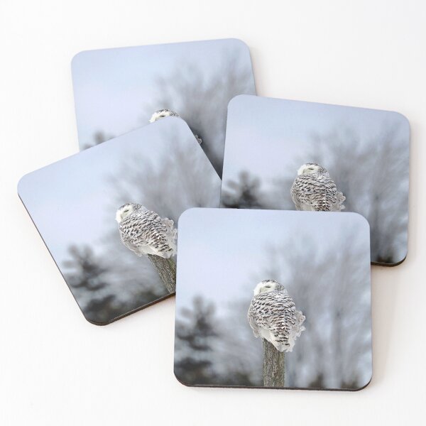 Item preview, Snowy Owl Sideways Glance designed and sold by Deb Oppermann.