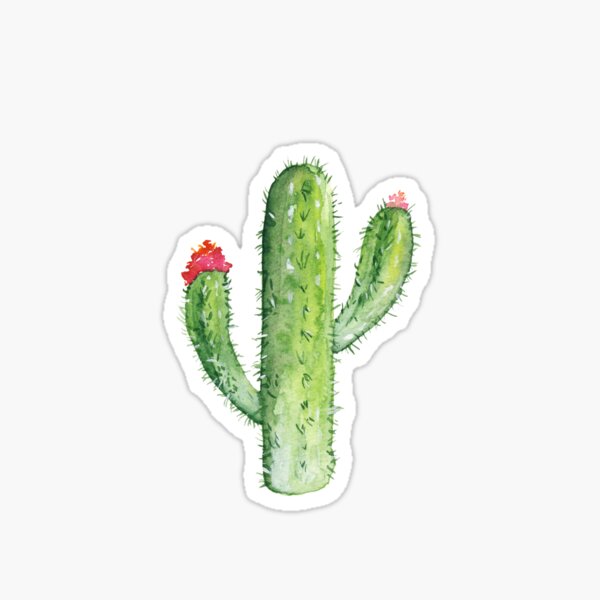Aperçu de l'œuvre Floraison Cactus Saguaro créée et vendue par Laura Jane Kirton.