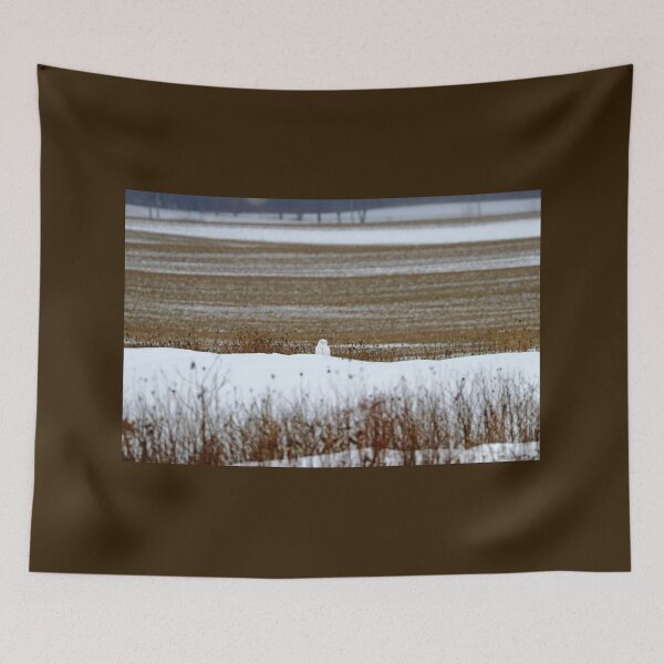 Item preview, Snowy Owl Well Camouflaged designed and sold by Deb Oppermann.