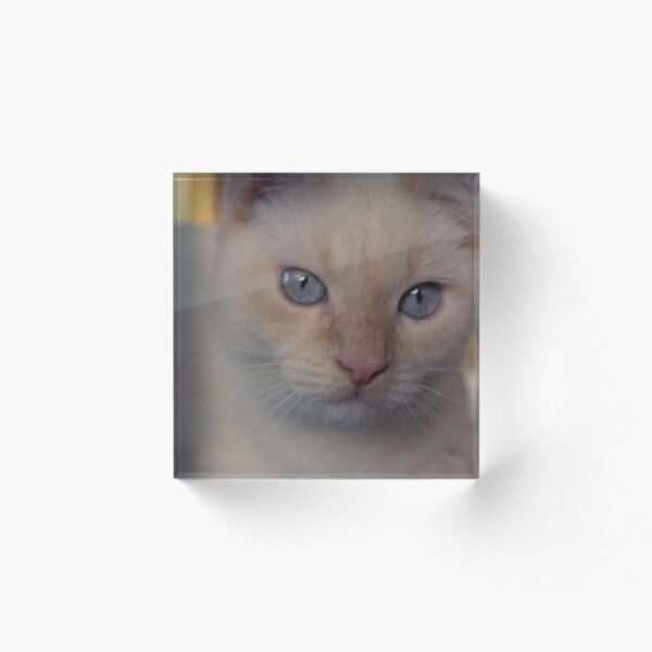 Item preview, Blue Eyes designed and sold by GryphDesigns.