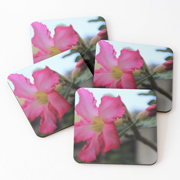 Item preview, flowers designed and sold by KITITA.