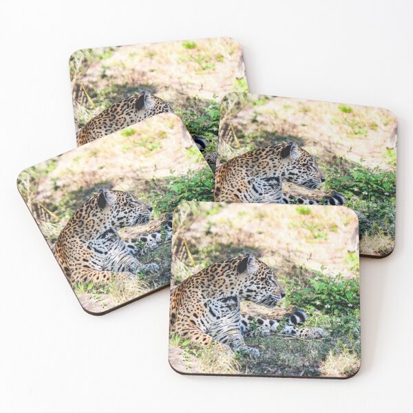 Item preview, Jaguar at Rest designed and sold by Bob Hardy.