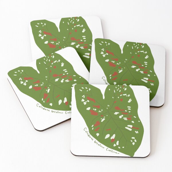 Item preview, Caladium Bicolour designed and sold by willowsbunnies.