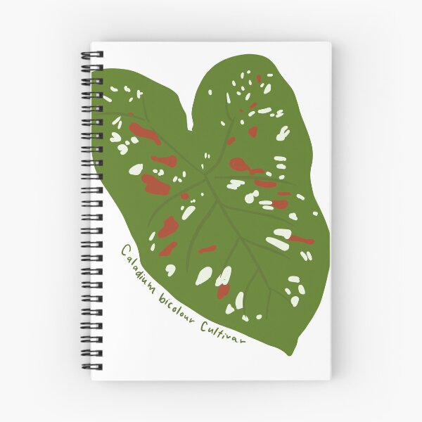 Item preview, Caladium Bicolour designed and sold by willowsbunnies.