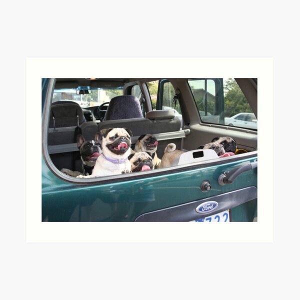 Doggie Car Pooling Art Print