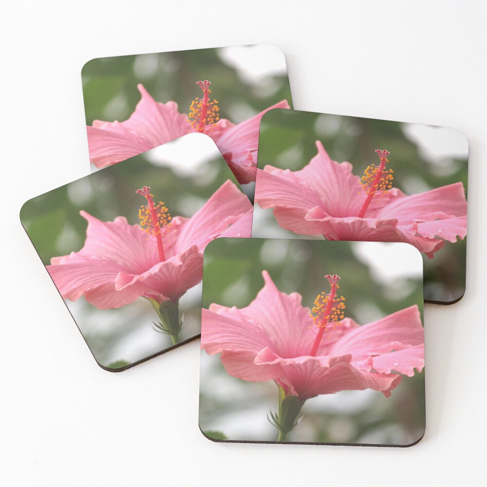 Item preview, Coasters (Set of 4) designed and sold by RJBPhotoDesign.