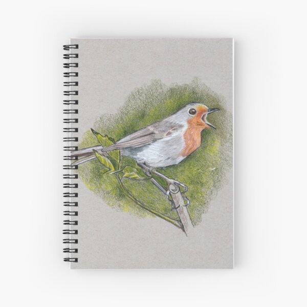 Singing Bird, Color Pencil Art, Wildlife, Drawing, Original Art