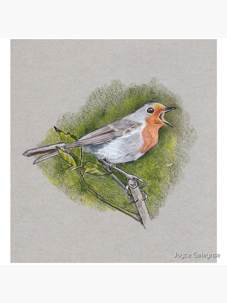 Singing Bird, Color Pencil Art, Wildlife, Drawing, Original Art