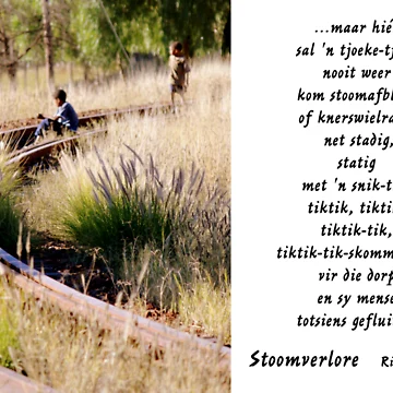 Artwork thumbnail, Stoomverlore by Rina Greeff