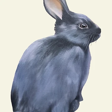 Artwork thumbnail, Black Rabbit by Emily Bickell